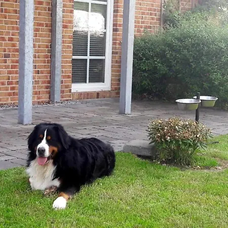 Borby-eg-nr-2 Holiday home Haby