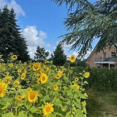 Borby-eg-nr-2 *