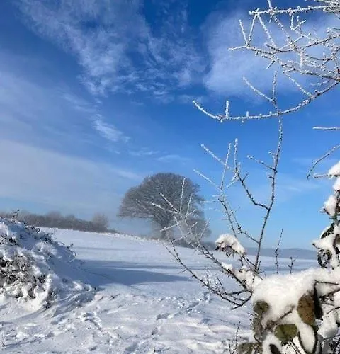 別荘 Borby-eg-nr-2 Haby