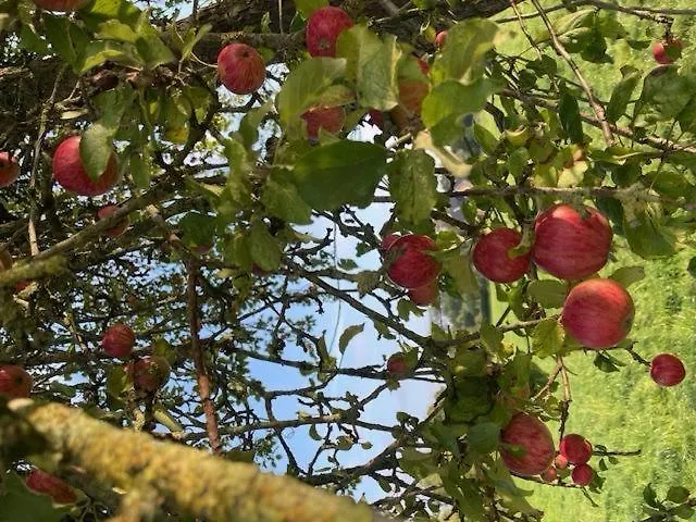 別荘 Borby-eg-nr-2