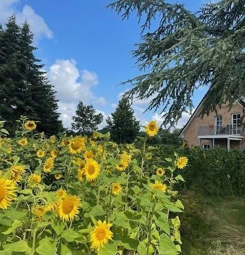 別荘 Borby-eg-nr-2 *