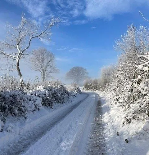 別荘 Borby-eg-nr-2