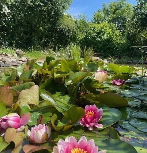 Borby-eg-nr-2 別荘 Haby