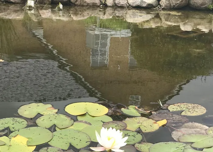 Borby-eg-nr-2 * Haby