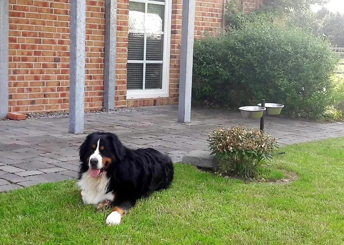 別荘 Borby-eg-nr-2 *