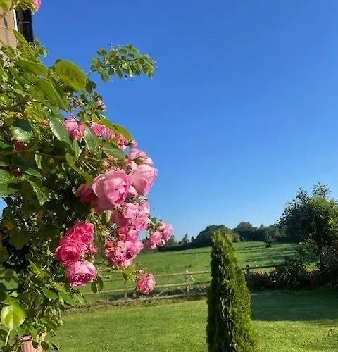 Borby-eg-nr-2 * Haby