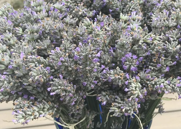 度假居 Borby-eg-nr-2 Haby